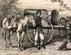"A Scene on the Roadside near Summer Camp," Edwin Forbes, copper plate etching, 1876, further detail 2.