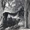 Railway train moving through a forest fire on the Eastern Railroad, Cedar Swamp, Maine, September 17, 1865, artist's impression