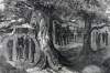 "Hanging of 30 Union Men," from Frederick Sumner's, "Rebel Barbarities in Texas," artist's impression, detail