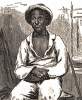 Solomon Northup